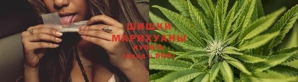 стаф Осташков