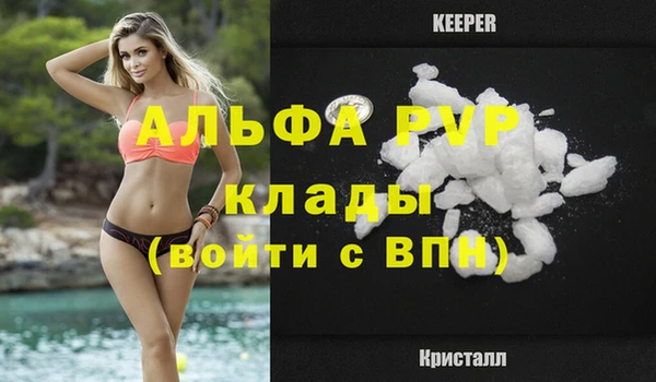 твердый Арсеньев